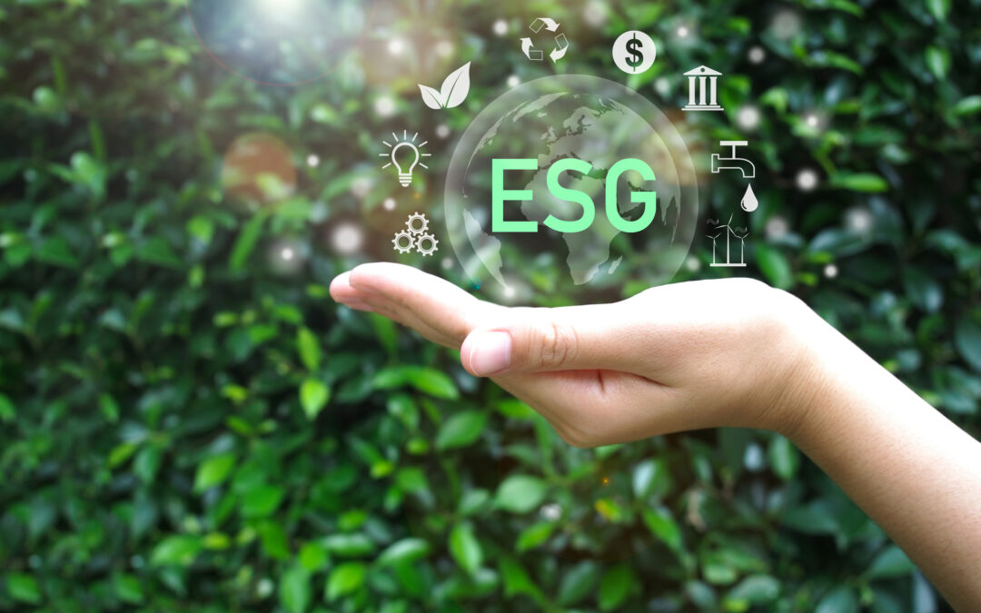 Che ruolo gioca il Responsabile HR nelle sfide dei criteri ESG?